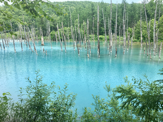 7月の青い池